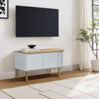 Couchtisch aus Holz in Grau-Weiß mit 2 Türen – skandinavisch/minimalistisch