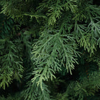 180 cm künstlicher Weihnachtsbaum – Extra dicht mit 3695 Zweige (PE+PVC), Ø 130 cm, inkl. stabilem Metallständer