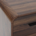 Nachttisch mit 2 Schubladen in Walnussoptik