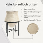 Hometopia 2er Blumentopf Set Frostsicher Formstabil Ø31 & 25 cm ohne Ablaufloch (Beige)