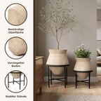 Hometopia 2er Blumentopf Set Frostsicher Formstabil Ø31 & 25 cm ohne Ablaufloch (Hellbraun)