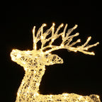 LED-Rentier mit Schlitten – Weihnachtsdeko mit warmweißen Lichtern für Innen und Außen