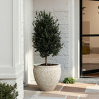 Hometopia Blumentopf Groß, Rund Übertöpfe Betonoptik für Außen & Innen, Massiver Pflanzkübel mit Drainage-Loch ideal für Wohnzimmer, Küche und Balkon (Hellgrau, Ø42xH37 cm)