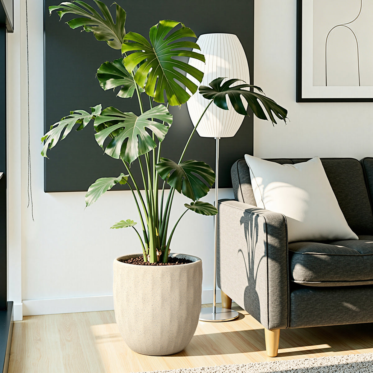 Hometopia Blumentopf Vintage mit Ablaufloch Frostsicher Formstabil für Außen & Innen, Massiver Pflanzkübel mit Drainage-Loch ideal für Wohnzimmer, Küche und Balkon (Altweiß, Ø37xH30cm)