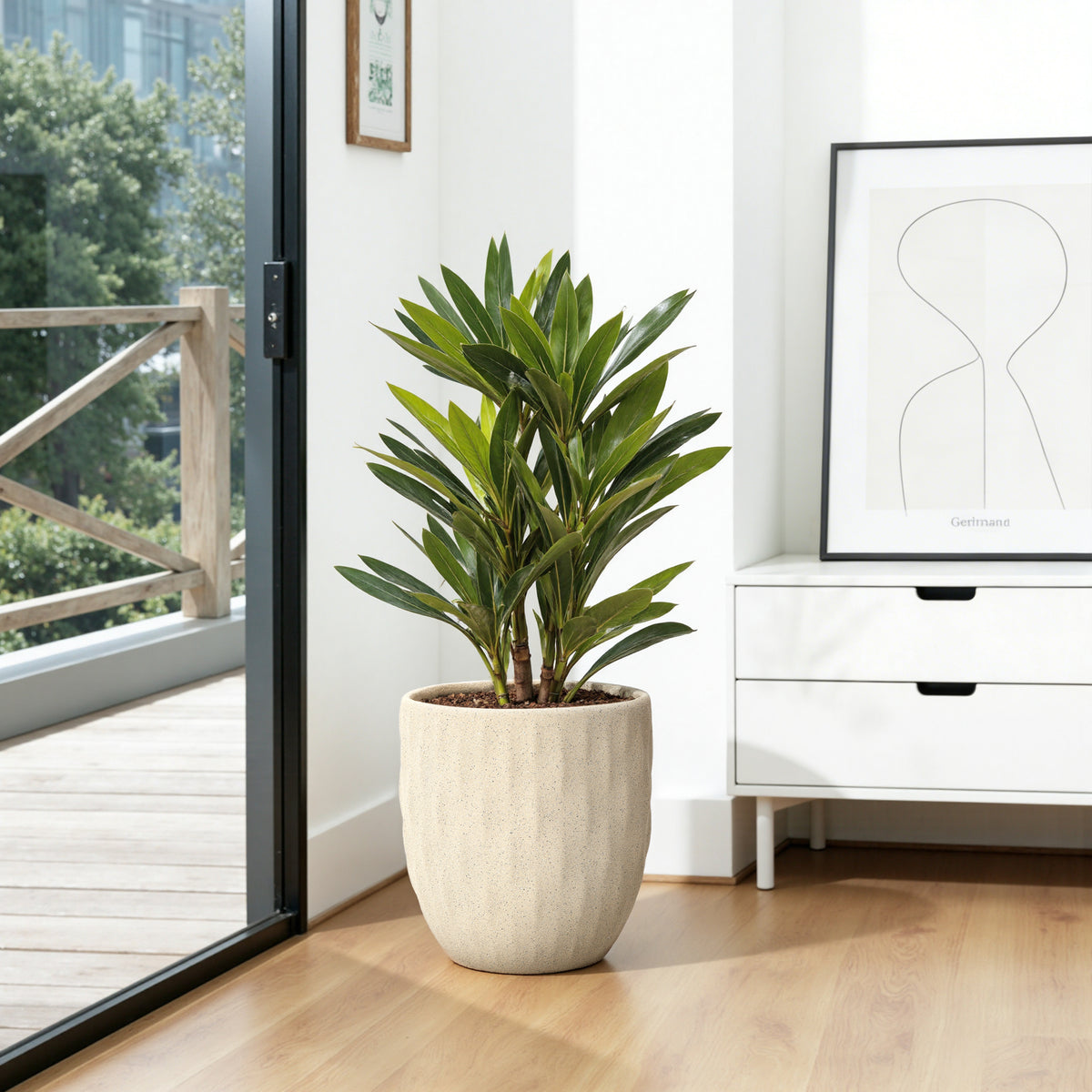 Hometopia Blumentopf Vintage mit Ablaufloch Frostsicher Formstabil für Außen & Innen, Massiver Pflanzkübel mit Drainage-Loch ideal für Wohnzimmer, Küche und Balkon (Altweiß, Ø37xH30cm)