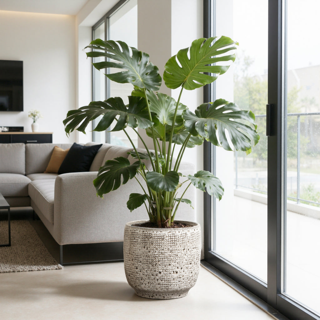 Hometopia Keramik Blumentopf Groß, Round Übertöpfe Außen & Innen, Massiver Pflanzkübel mit Drainage-Loch ideal für Wohnzimmer, Küche und Balkon (Graues, Ø30xH28cm)