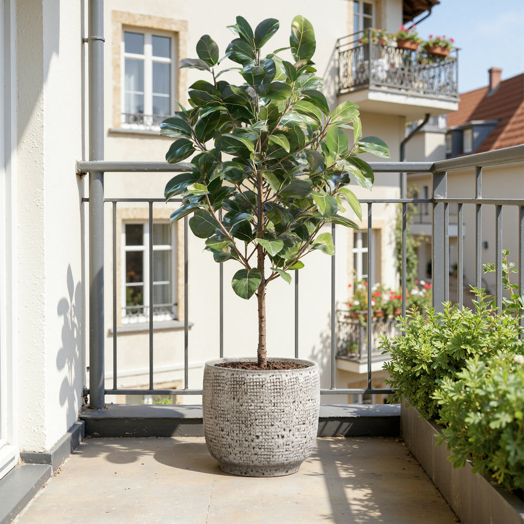 Hometopia Keramik Blumentopf Groß, Round Übertöpfe Außen & Innen, Massiver Pflanzkübel mit Drainage-Loch ideal für Wohnzimmer, Küche und Balkon (Graues, Ø30xH28cm)