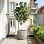 Hometopia Keramik Blumentopf Groß, Round Übertöpfe Außen & Innen, Massiver Pflanzkübel mit Drainage-Loch ideal für Wohnzimmer, Küche und Balkon (Graues, Ø30xH28cm)