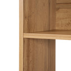 Bücherregal in Holzoptik mit Schrankfächern